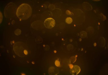 bokeh daireler ışıkları arka plan