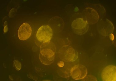 bokeh ışıkları ile soyut duvar kağıdı