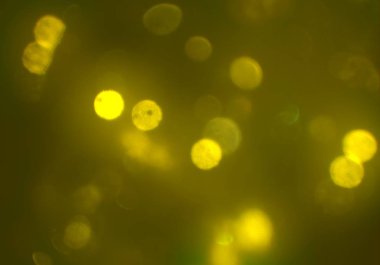 bokeh daireler ışıkları arka plan