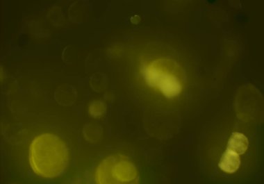 bokeh daireler ışıkları arka plan