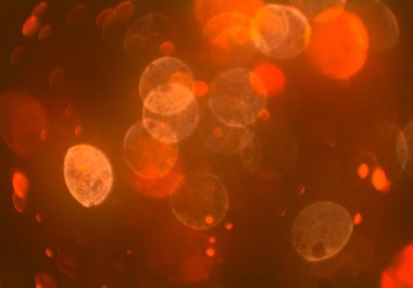 deffocused bokeh daireler ışıkları arka plan