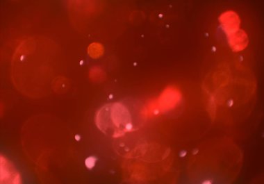 deffocused bokeh daireler ışıkları arka plan