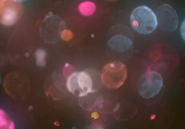 deffocused bokeh daireler ışıkları arka plan