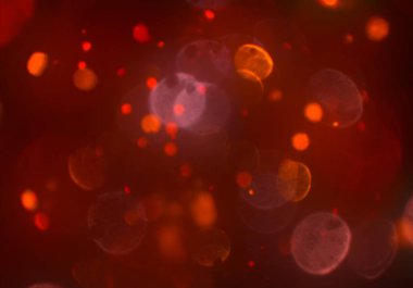 deffocused bokeh daireler ışıkları arka plan