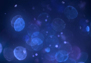 deffocused bokeh daireler ışıkları arka plan