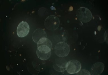 deffocused bokeh daireler ışıkları arka plan