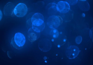 parlak bokeh ışıkları ile dijital duvar kağıdı 