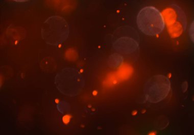 deffocused bokeh daireler ışıkları arka plan