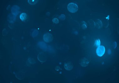 deffocused bokeh daireler ışıkları arka plan