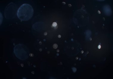 deffocused bokeh daireler ışıkları arka plan