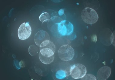 deffocused bokeh daireler ışıkları arka plan