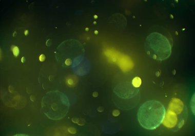 deffocused bokeh daireler ışıkları arka plan