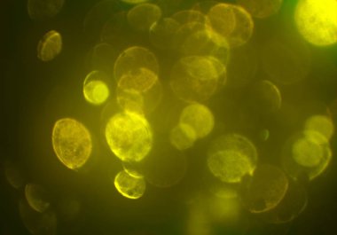 kopya alanı ile bokeh ışıkları dijital arka plan