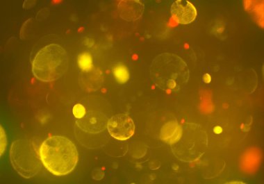 kopya alanı ile bokeh ışıkları dijital arka plan