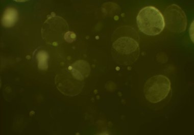 bokeh ışıkları ile soyut duvar kağıdı