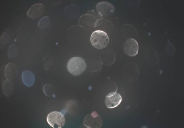 metin veya görüntü için alan ile bokeh arka plan