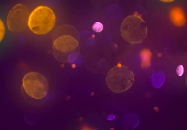 Bokeh Circles Lights Background — Stock Photo, Image