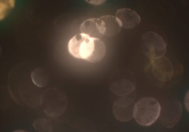 afiş tasarımı için soyut yaratıcı arka plan