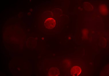 parlak bokeh ışıkları ile dijital duvar kağıdı 