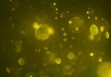 parlak bokeh ışıkları ile dijital duvar kağıdı 