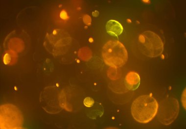 bokeh ve metin için alan ile soyut duvar kağıdı