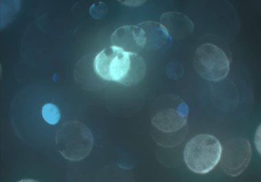 kopya alanı ile bokeh ışıkları dijital arka plan