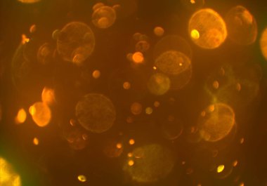 Tasarımınız için parlak bokeh arka plan