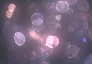 parlayan bulanık bokeh daireler arka plan ışıkları