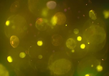 parlayan bulanık bokeh daireler arka plan ışıkları