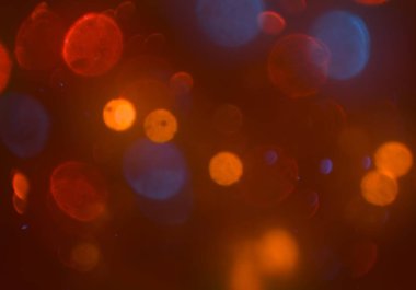 soyut bulanık bokeh arka plan, kopyalama alanı 