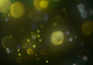 parlak bokeh ışıkları ile dijital duvar kağıdı 