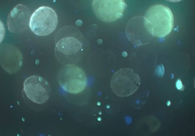 Tasarımınız için parlak bokeh arka plan