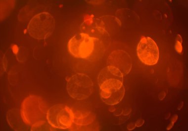 bokeh ile sanat soyut arka plan 