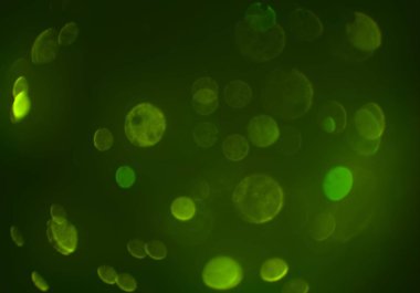 bokeh abstact arka plan ile galaksi