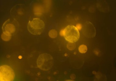 bokeh ile sanat soyut arka plan 