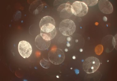 soyut renkli arkaplan, alanı kopyala