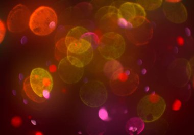 kopya alanı ile bokeh ışıkları dijital arka plan