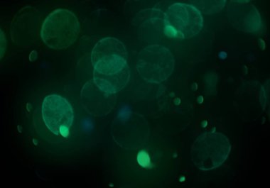 bokeh abstact arka plan ile galaksi