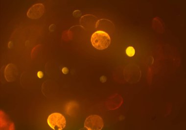 kopya alanı ile bokeh ışıkları dijital arka plan