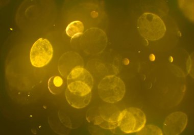 bokeh abstact arka plan ile galaksi