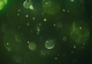 Tasarımınız için parlak bokeh arka plan