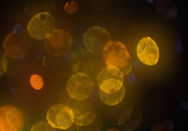 Bokeh ile soyut arkaplan