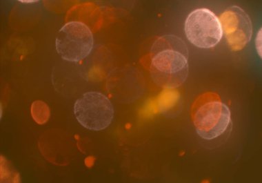 bokeh ve metin için alan ile soyut duvar kağıdı