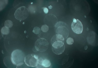 bokeh ile sanat soyut arka plan 