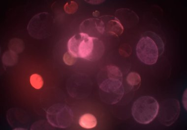 parlak bokeh ışıkları ile dijital duvar kağıdı 