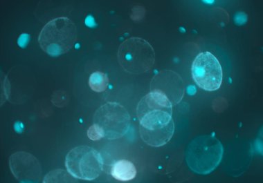 bokeh ışıkları ile soyut duvar kağıdı