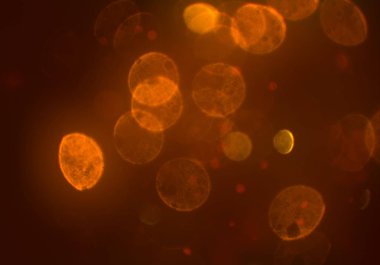 bokeh ile sanat soyut arka plan 