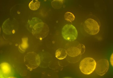 bokeh ve kopyalama alanı ile soyut arka plan