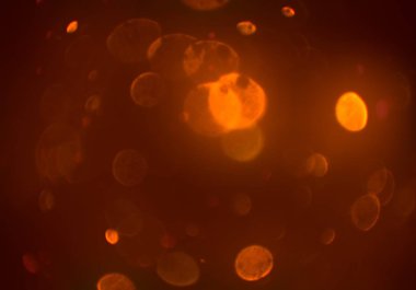 soyut bulanık bokeh arka plan, kopyalama alanı  