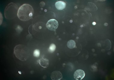 bokeh ile sanat soyut arka plan 